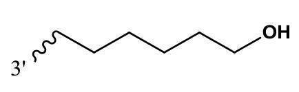 Figure 2022095757000176