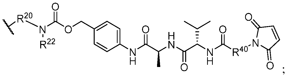 Figure imgf000216_0002