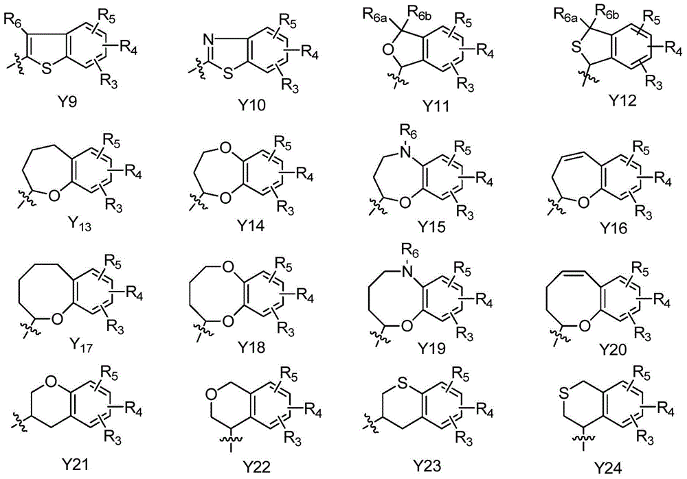 Figure BDA0000552193260000041