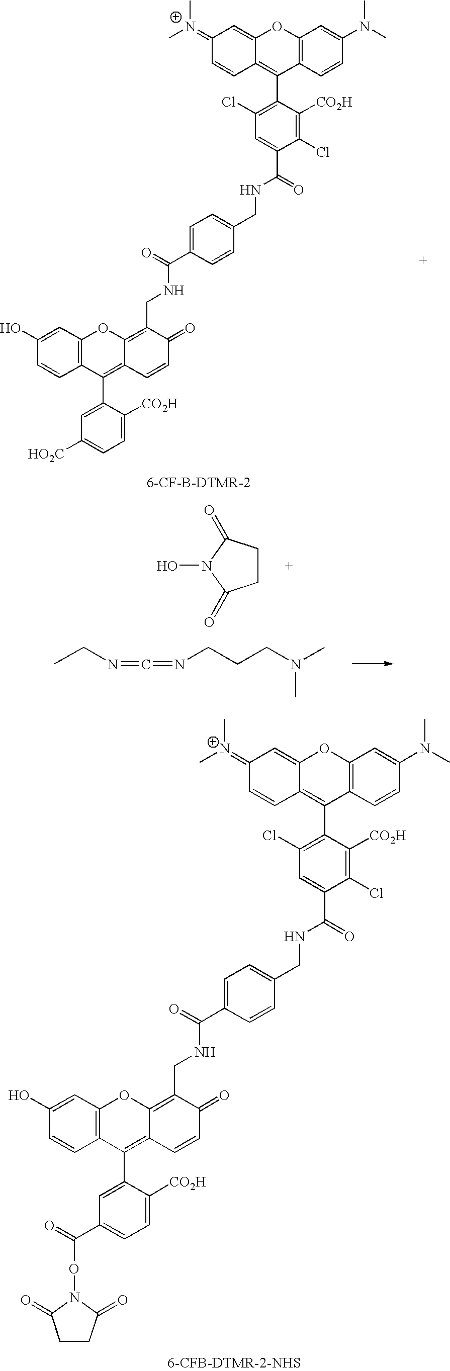 Figure US20070154927A1-20070705-C00125