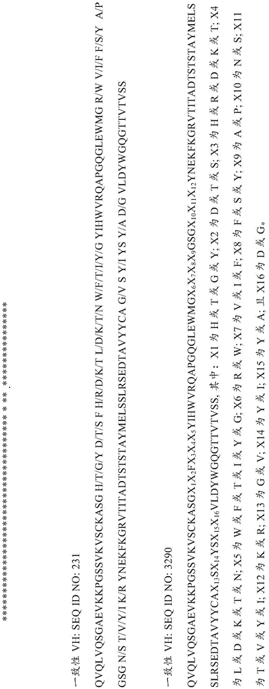 Figure BDA0003315030390002331