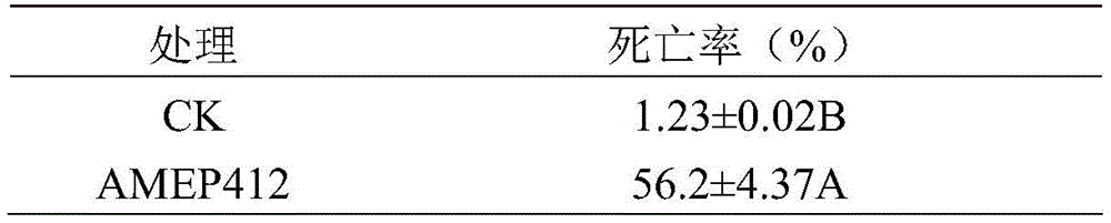 Figure BDA0002298650850000061