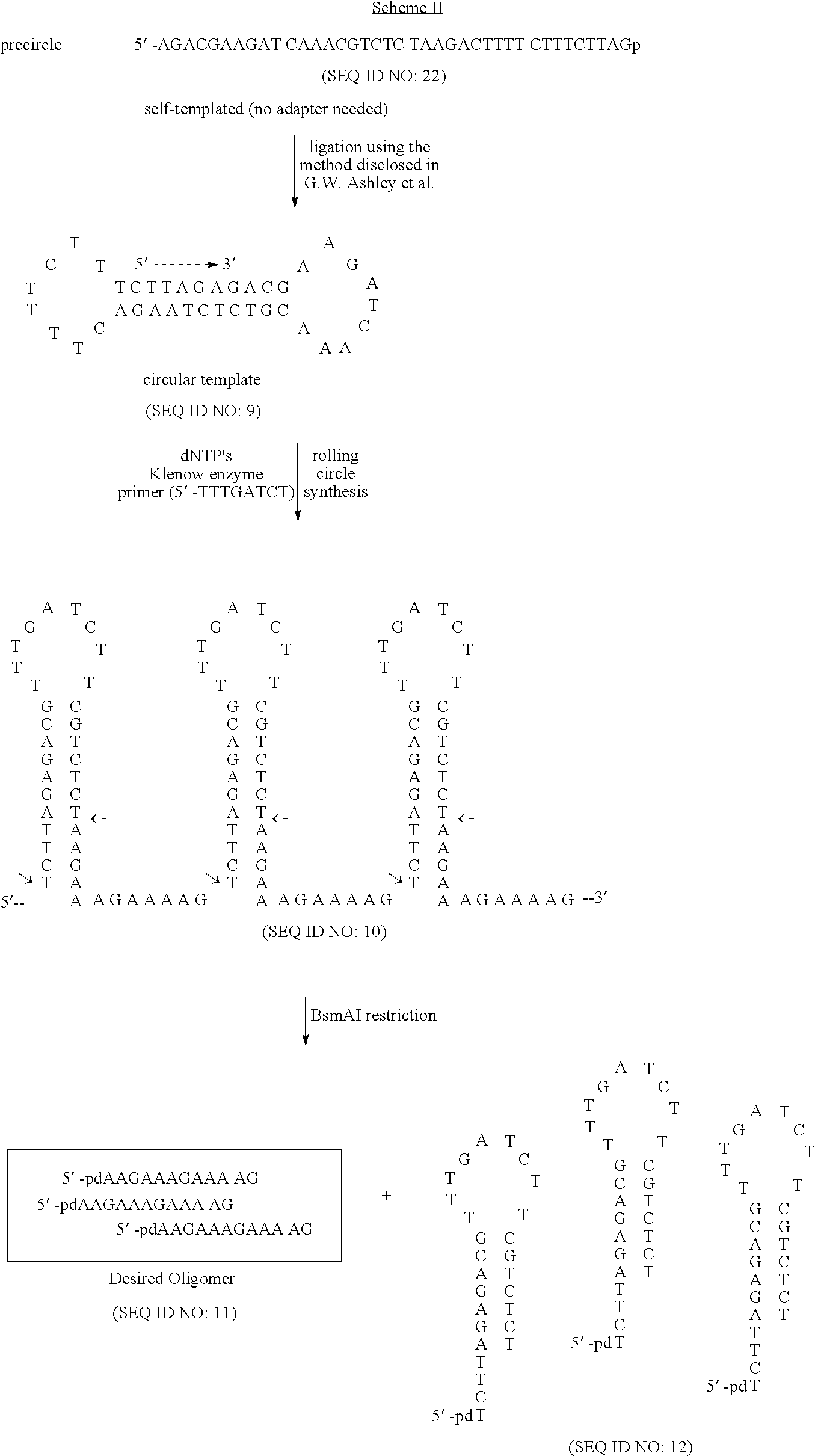 Figure US20080227160A1-20080918-C00001