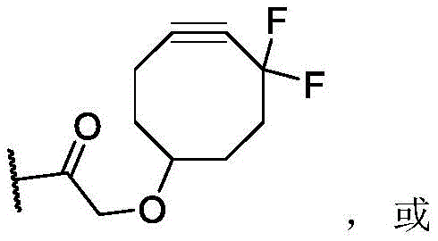 Figure BDA0003169092350000494