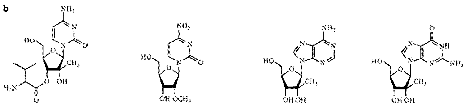 Figure imgf000064_0001
