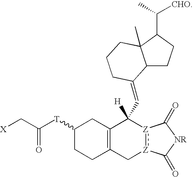 Figure US20090221529A1-20090903-C00040