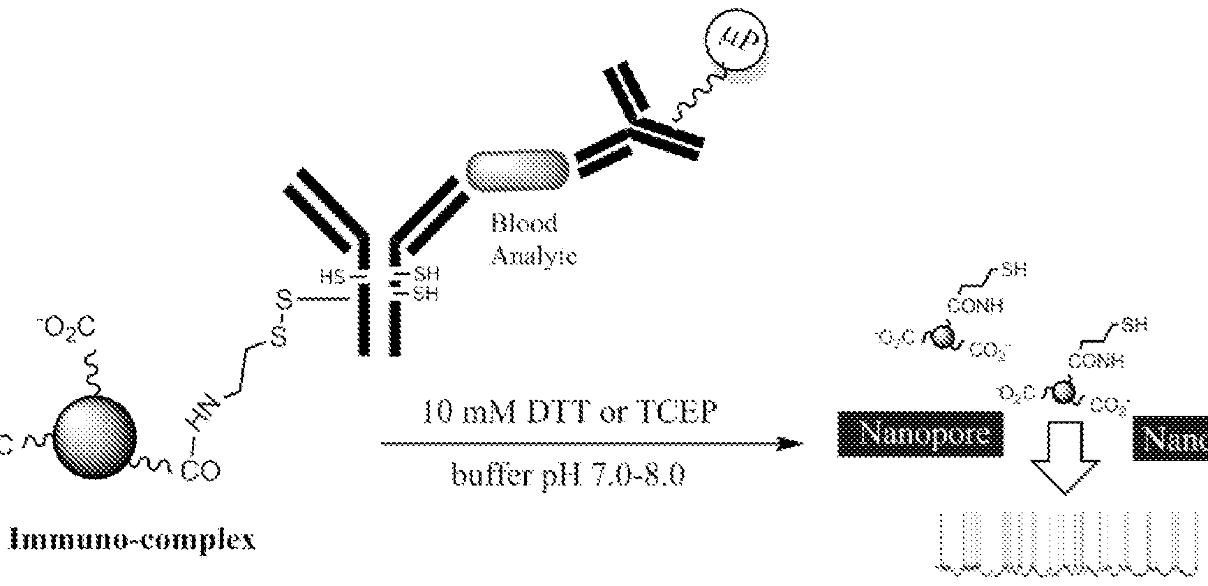 Figure imgf000154_0001