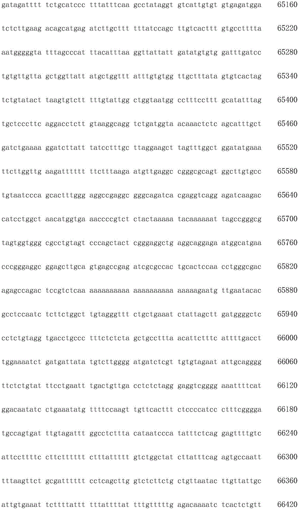 Figure IDA0003936212790000691