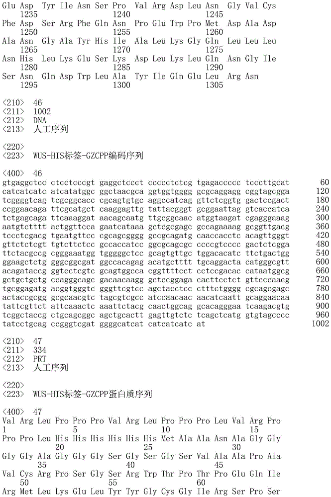 Figure IDA0002532806220000291