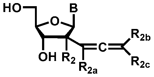 Figure imgf000017_0001