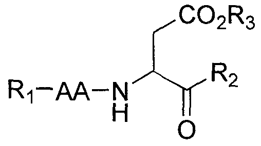 Figure imgf000010_0001