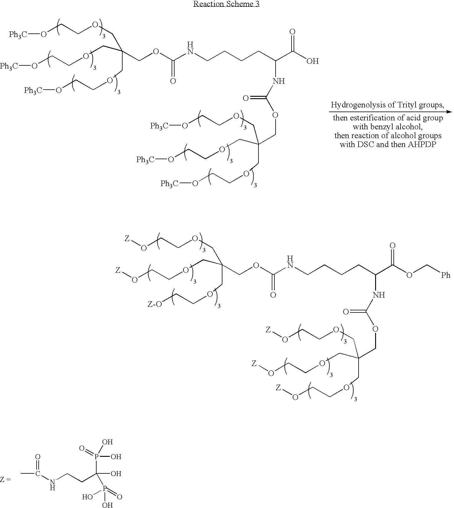 Figure US20100286355A1-20101111-C00024