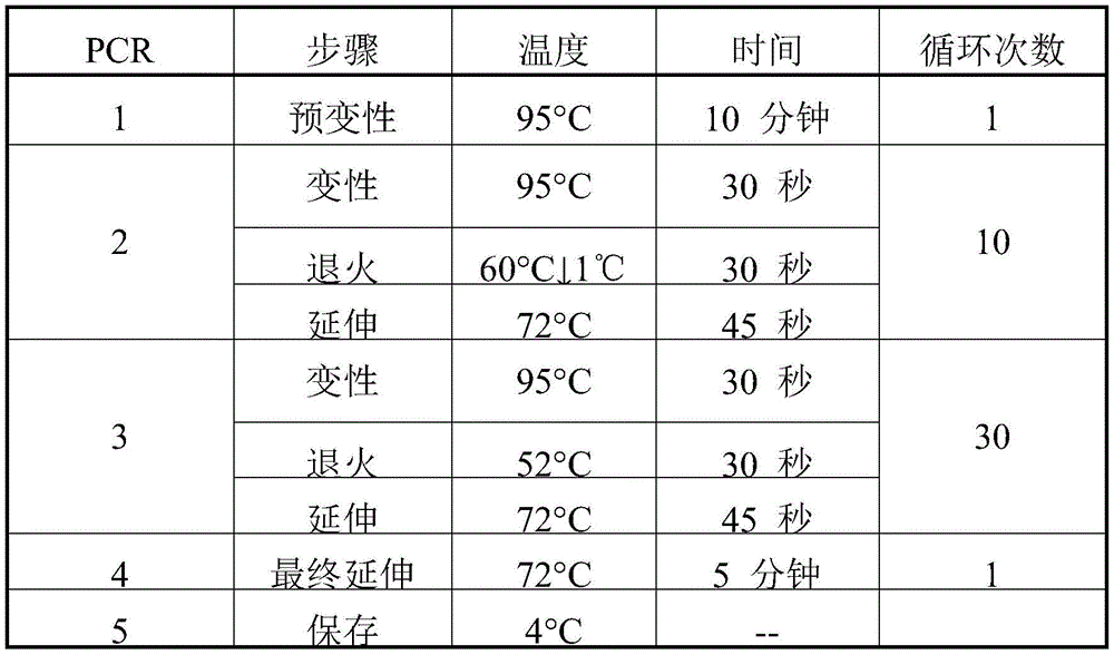 Figure BDA0002462439120000162