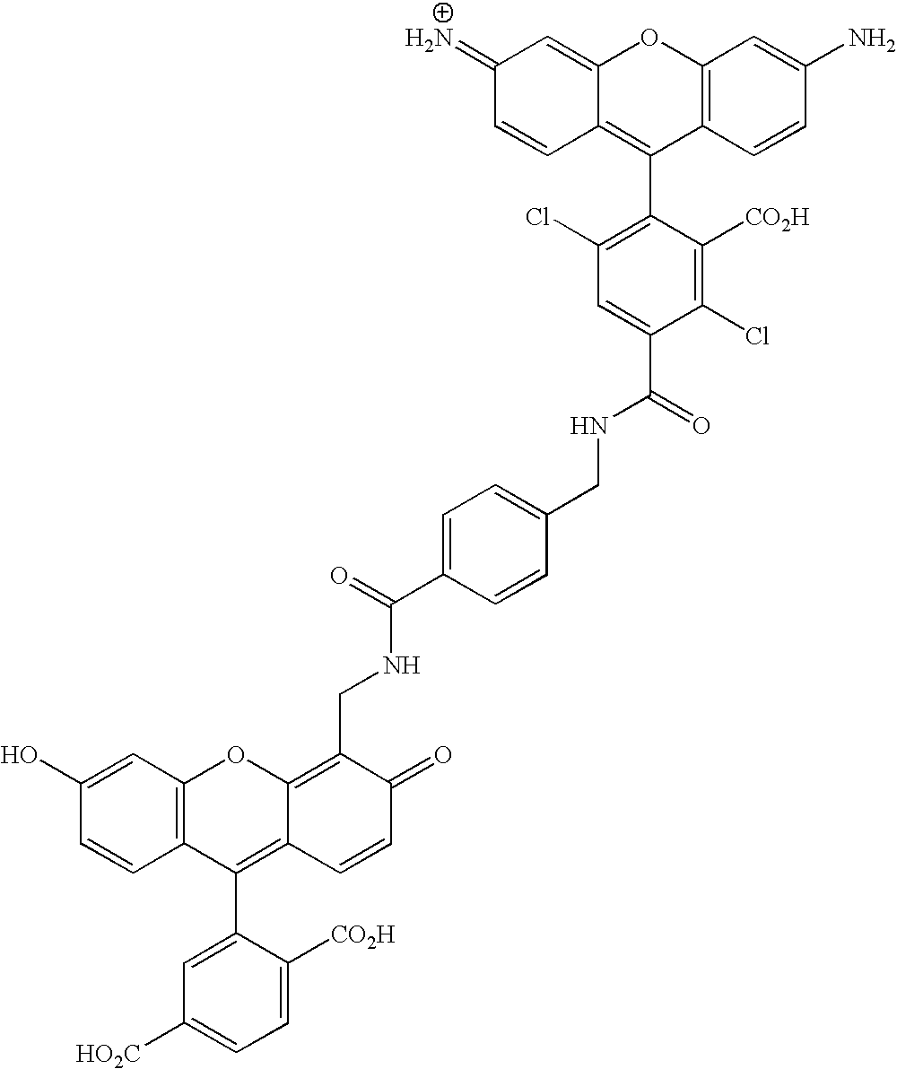 Figure US20070154927A1-20070705-C00018