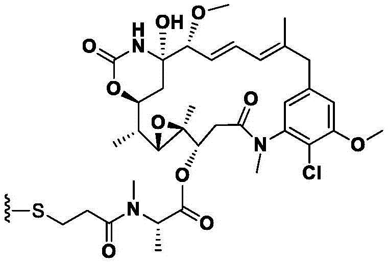 Figure FDA0003817518580000113