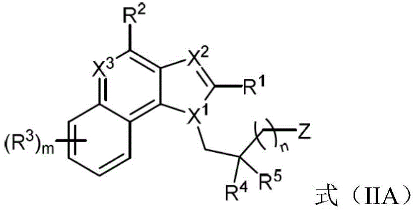 Figure BDA0004087467790000101