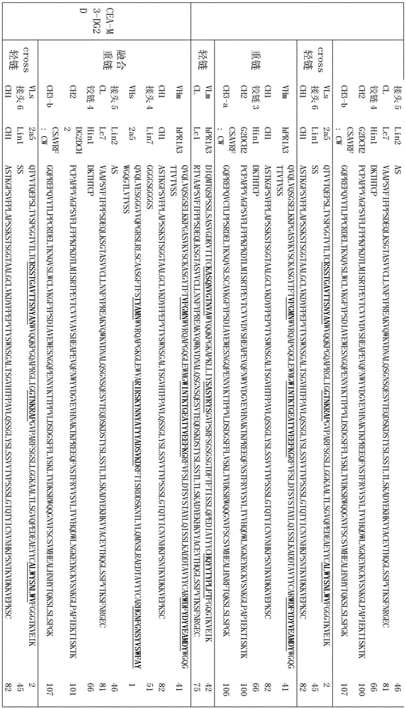 Figure BDA0002336612250001111