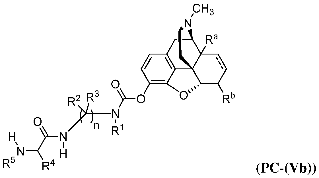 Figure imgf000083_0001