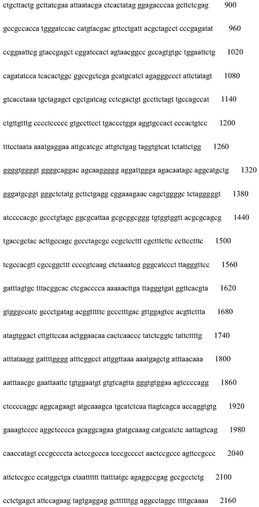 Figure IDA0000827411970000511