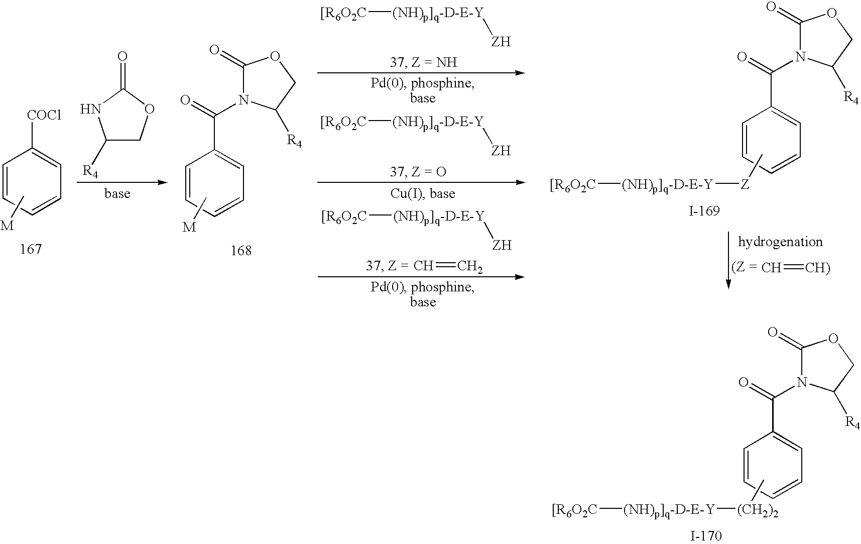 Figure US20080045531A1-20080221-C00101