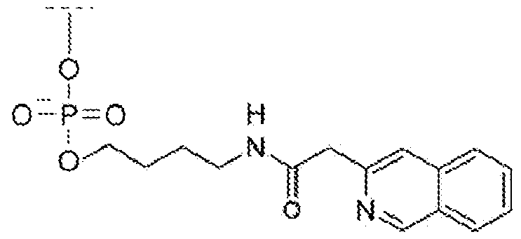 Figure imgf000066_0003