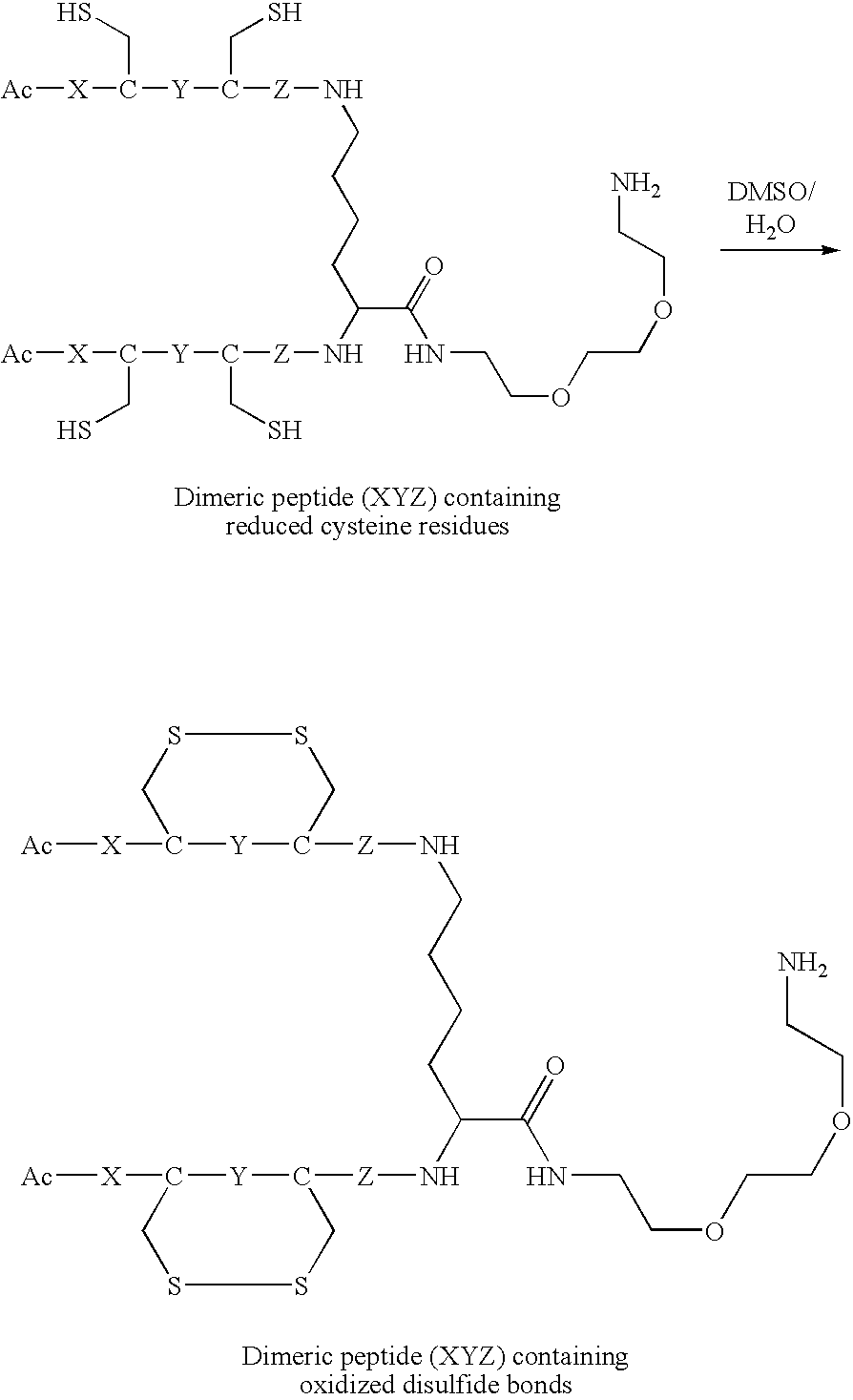 Figure US20060040858A1-20060223-C00054