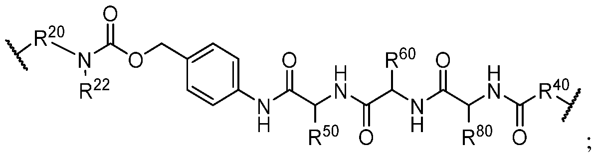 Figure imgf000208_0001