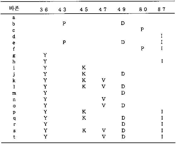Figure 112005078207519-pat00004