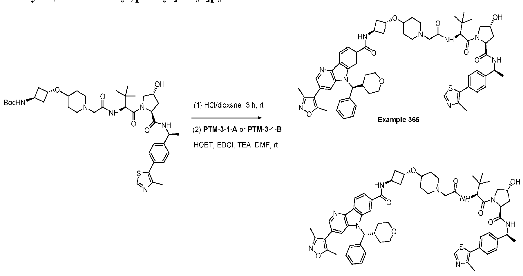 Figure imgf000203_0001