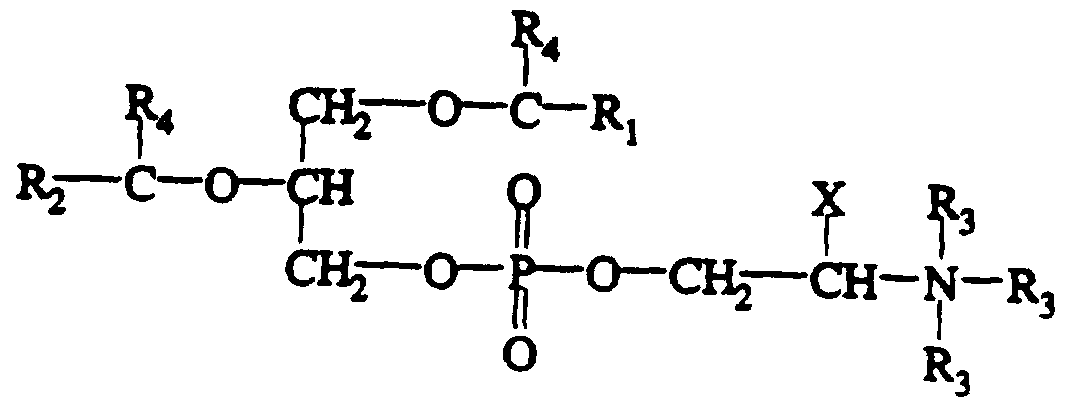 Figure imgf000025_0001