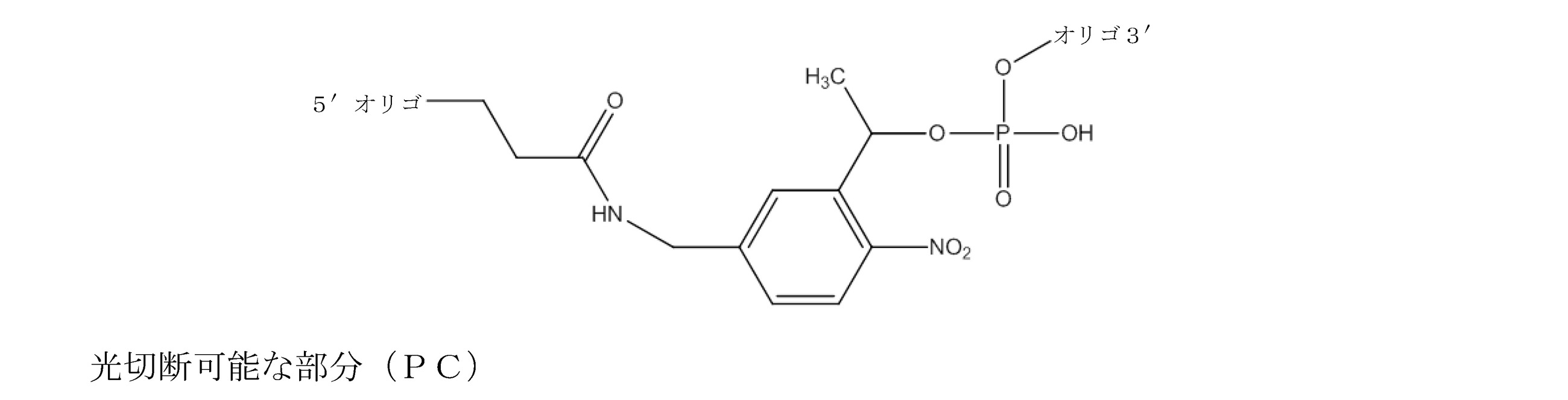 Figure 2022058772000024