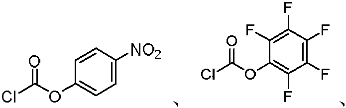 Figure PCTCN2019073148-appb-100073