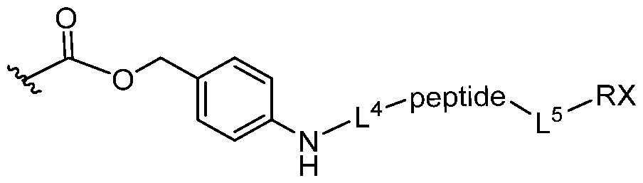 Figure imgf000104_0004