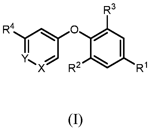 Figure imgf000006_0001