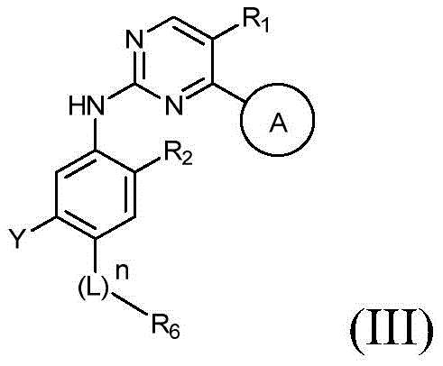 Figure FDA0002203848410000011