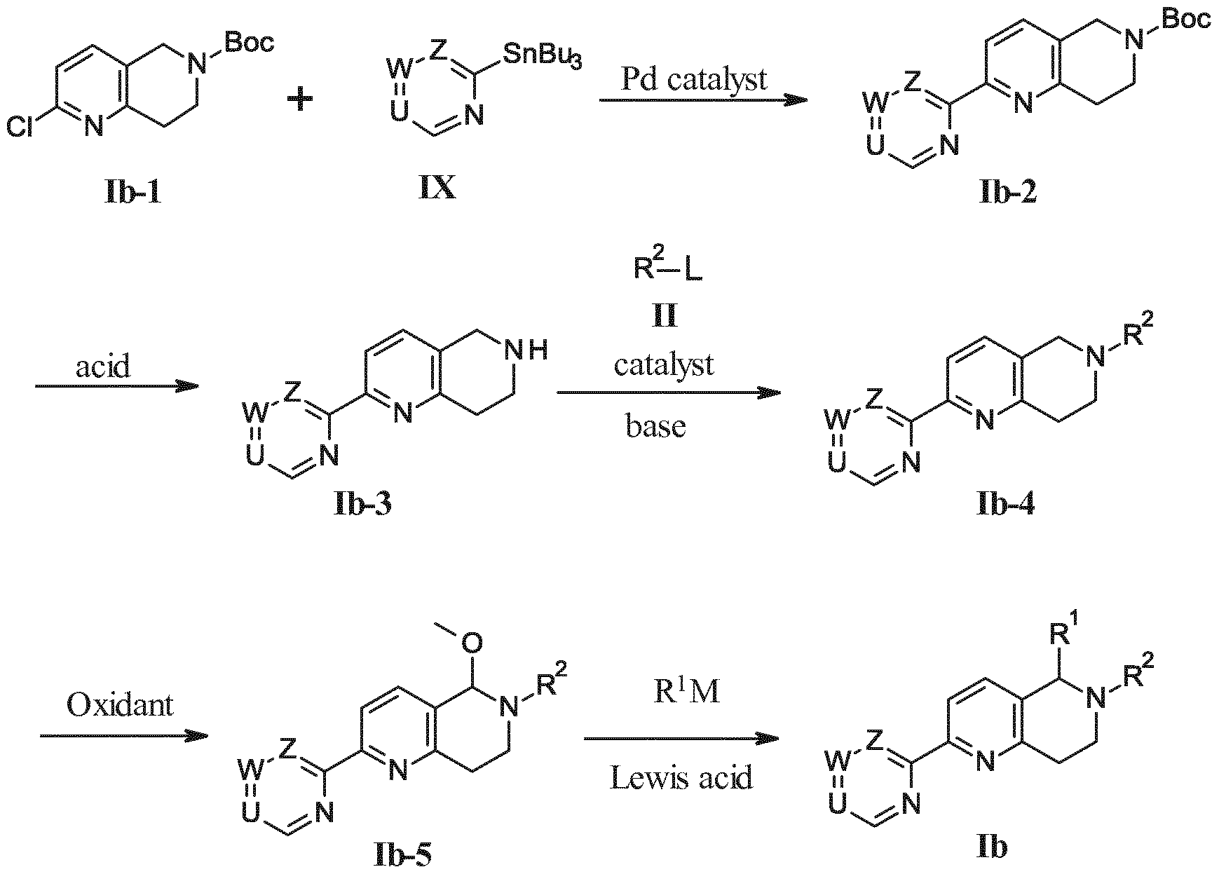 Figure imgf000053_0001