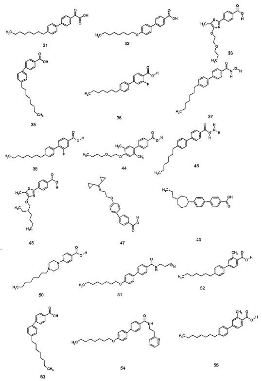 Figure DEST_PATH_IMAGE014