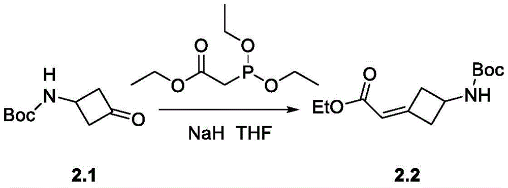 Figure BDA0002264234980000411