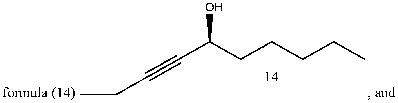 Figure imgf000003_0004