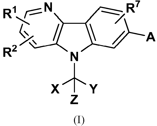 Figure imgf000004_0001