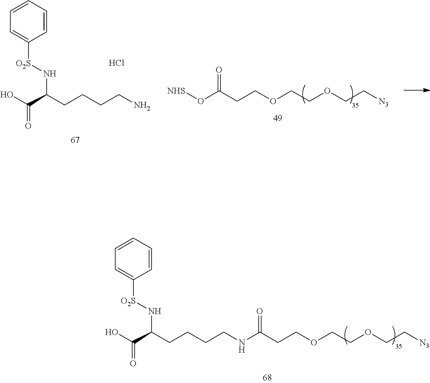 Figure US20240376212A1-20241114-C00174