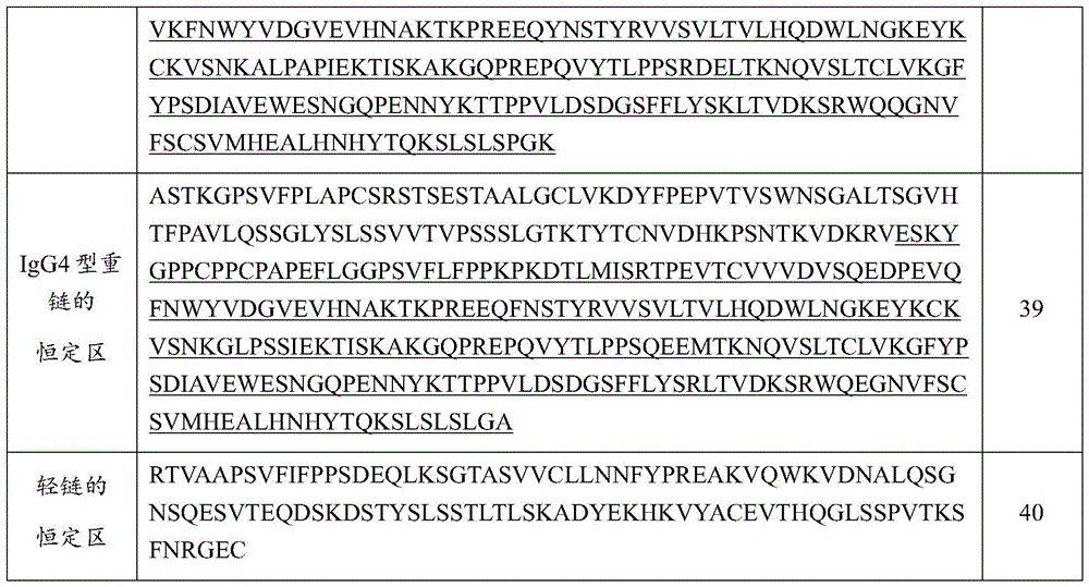 Figure BDA0004032492900000381