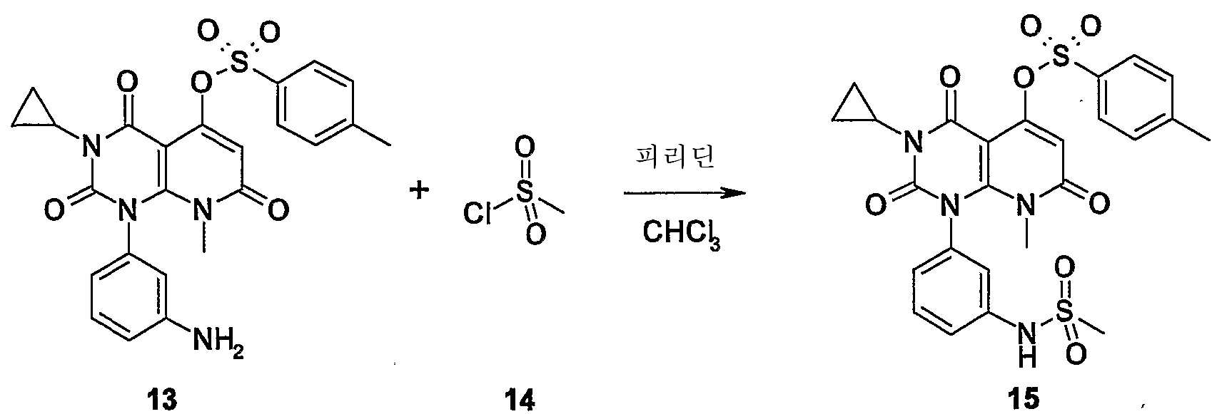 Figure 112007003005065-pct00050
