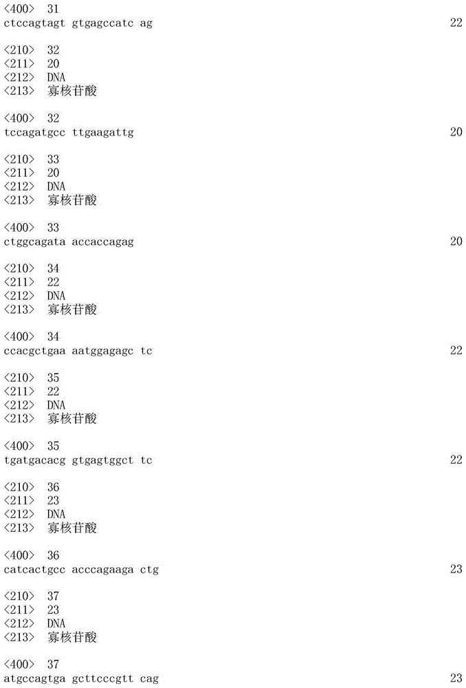 Figure IDA0000383636060000051