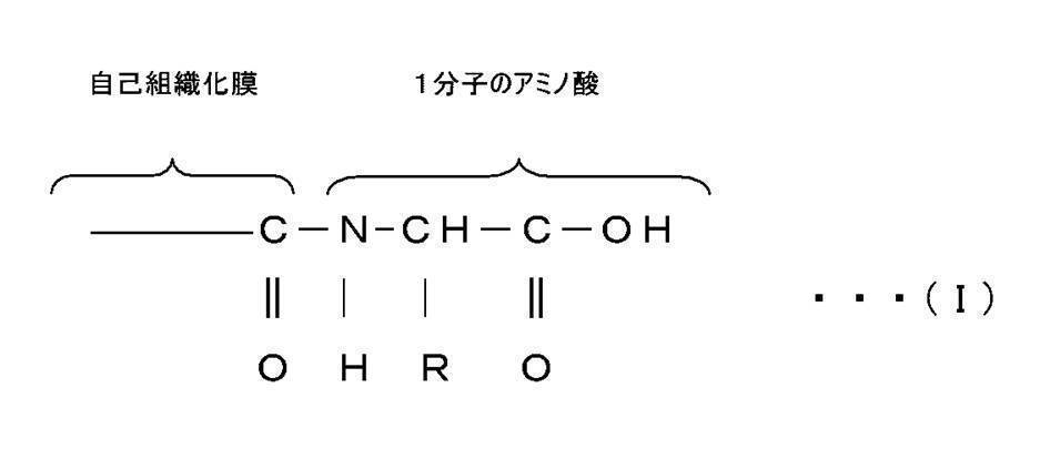 Figure JPOXMLDOC01-appb-C000011