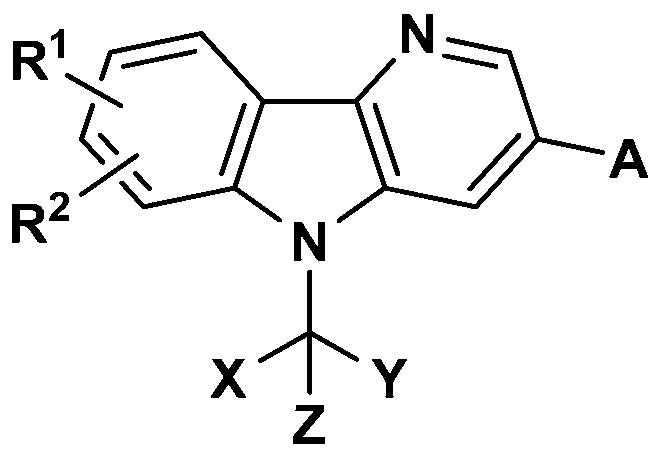 Figure imgf000007_0001