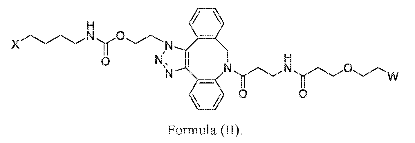 Figure imgf000031_0001