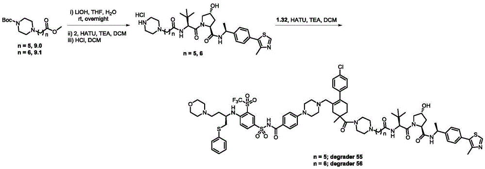 Figure BDA0003293294510001611