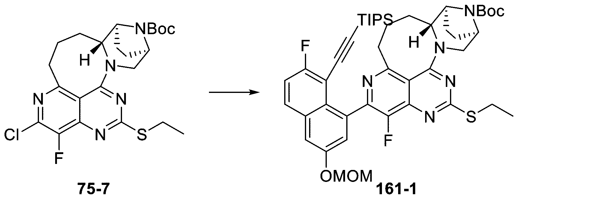 Figure 2025513258000517
