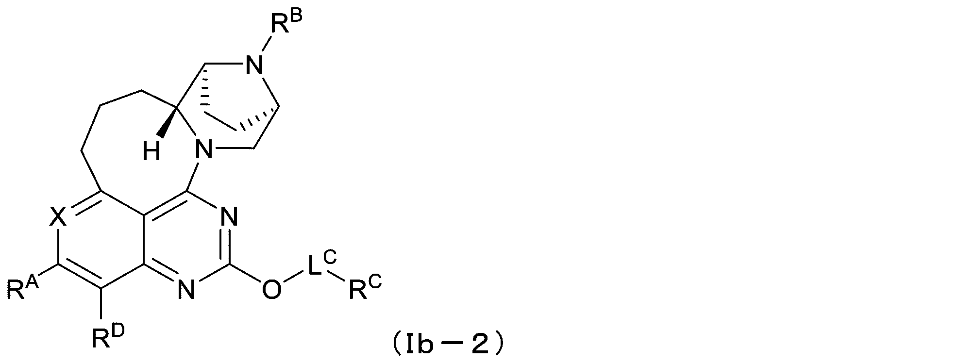 Figure 2025513258000921